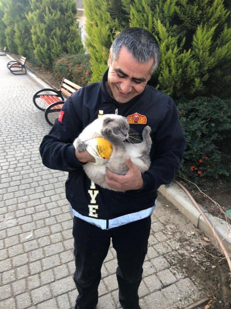 Veteriner kliniği çıkışı sahibinden kaçarak panoya saklanan ev kedisini itfaiye kurtardı