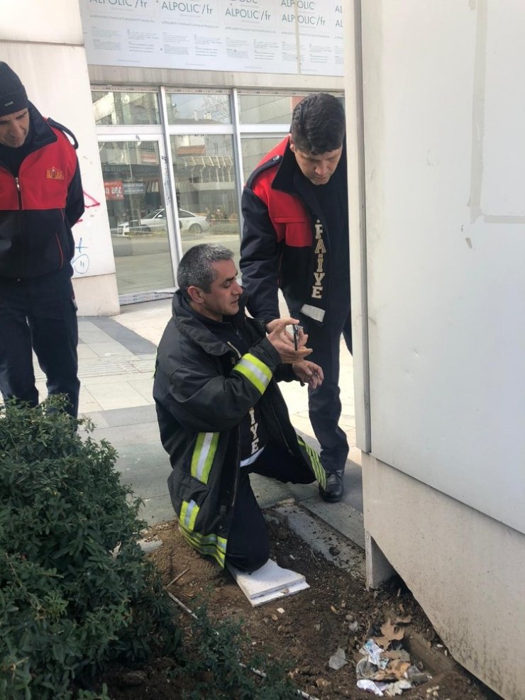 Veteriner kliniği çıkışı sahibinden kaçarak panoya saklanan ev kedisini itfaiye kurtardı