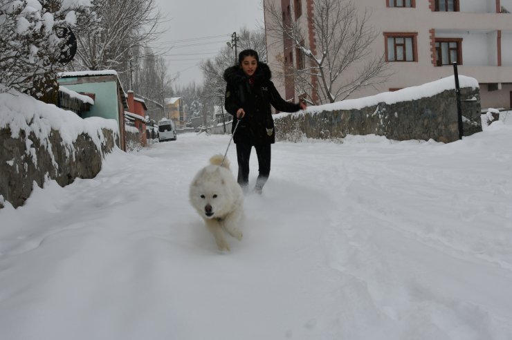 Doğu Anadolu'da kar yağışı ve soğuk hava