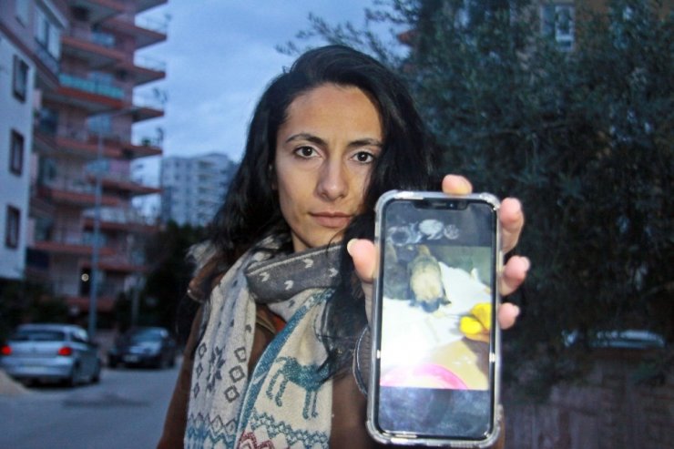 Yol kenarına atılmış çuval içerisindeki yeni doğmuş yavru köpekleri vatandaşlar kurtardı
