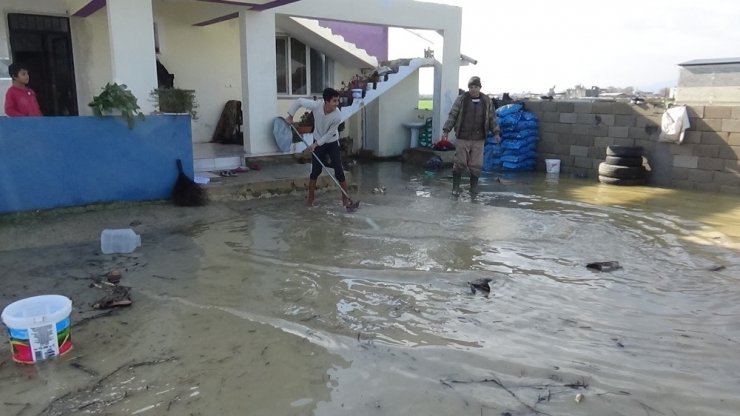 Amik Ovası’nda evler ve tarım arazileri sular altında kaldı