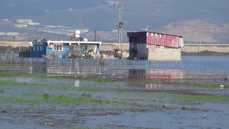 Amik Ovası’nda evler ve tarım arazileri sular altında kaldı