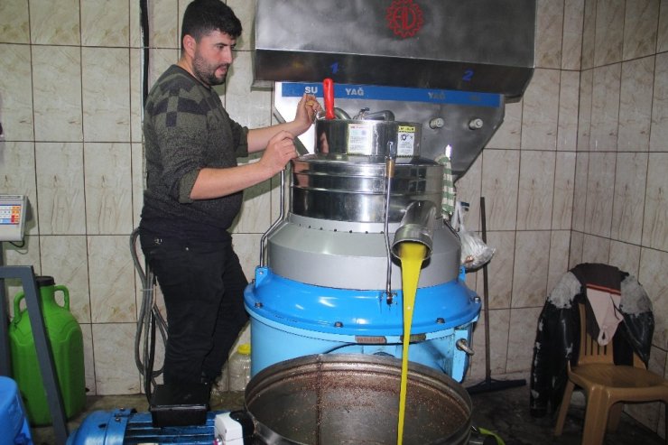 Zeytinyağı kalitesi için 24 saat çalışıyorlar