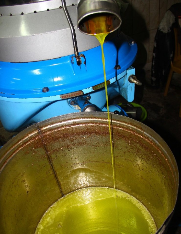 Zeytinyağı kalitesi için 24 saat çalışıyorlar