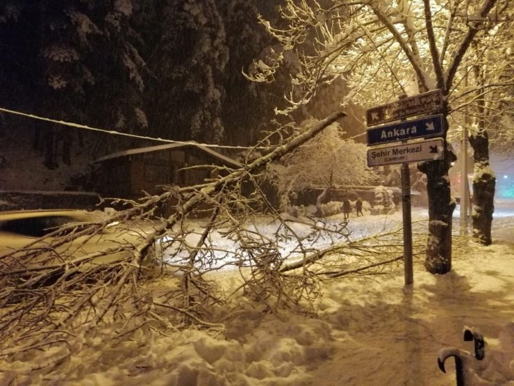Kızılcahamam’da yoğun kar nedeniyle ağaçlar devrildi