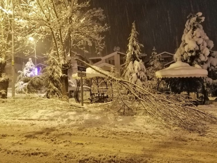 Kızılcahamam’da yoğun kar nedeniyle ağaçlar devrildi