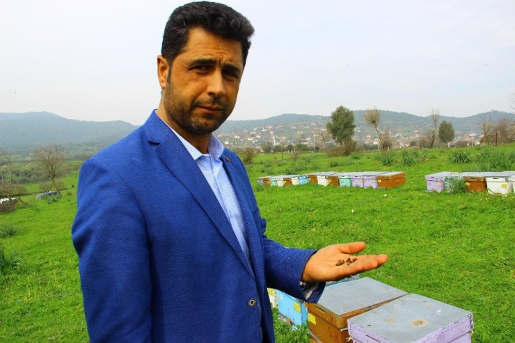 2019’u sıkıntılı geçiren arıcılar 2020’den umutlu