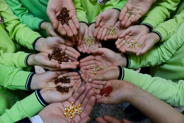 Biyolojik çeşitliliği okulda oluşturulan "tohum bankası"nda öğreniyorlar