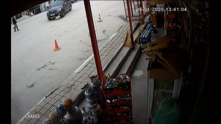 Bursa’da çok acı kaza...Meydandaki köpeği böyle ezdi