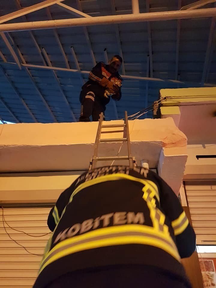 Çatıda mahsur kalan kediyi itfaiye kurtardı