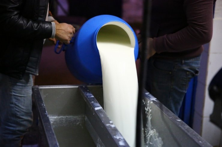 Başkan Çerçioğlu’nun kooperatife desteği sayesinde üreticinin kazancı arttı