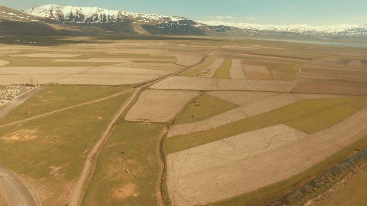 Erzincan’da 1 milyon 760 bin dekar alanda arazi toplulaştırma çalışması yapıldı