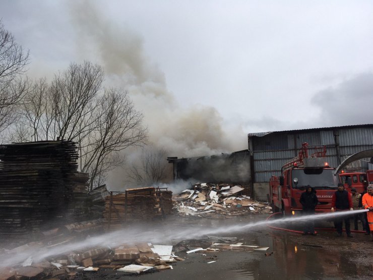 Düzce'de kereste fabrikasında yangın çıktı