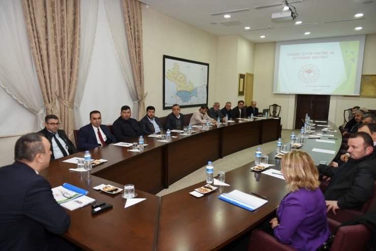 “Zeytin Üretimi ve Zeytinyağı Sektörü" konulu toplantı yapıldı