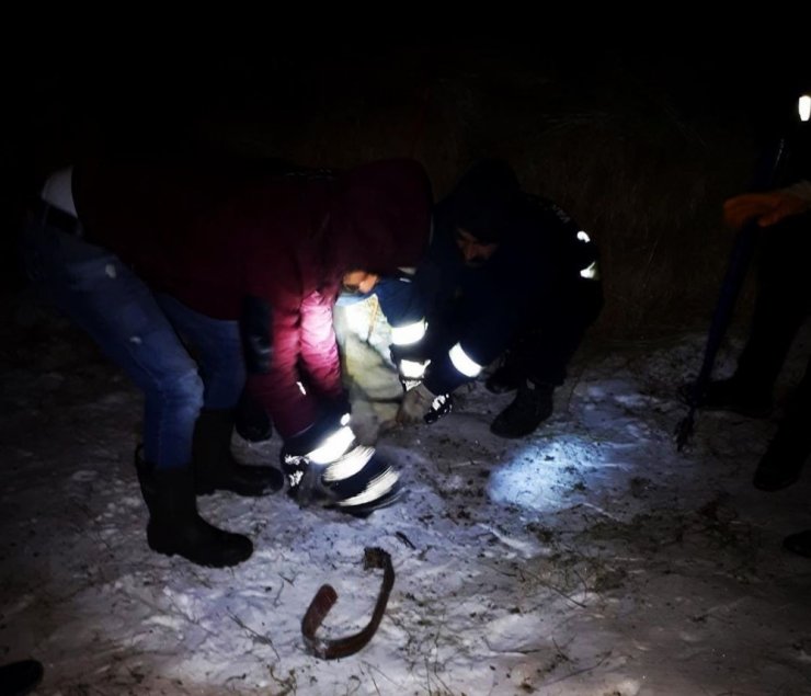 Boynuna tel dolanan köpeğin imdadına itfaiye ekipleri yetişti
