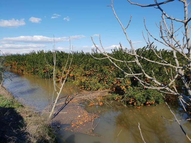 Tarım arazileri felaketin eşiğinden döndü