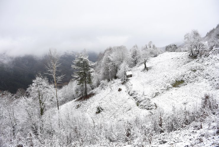 Bartın'ın yüksek kesimleri beyaza büründü