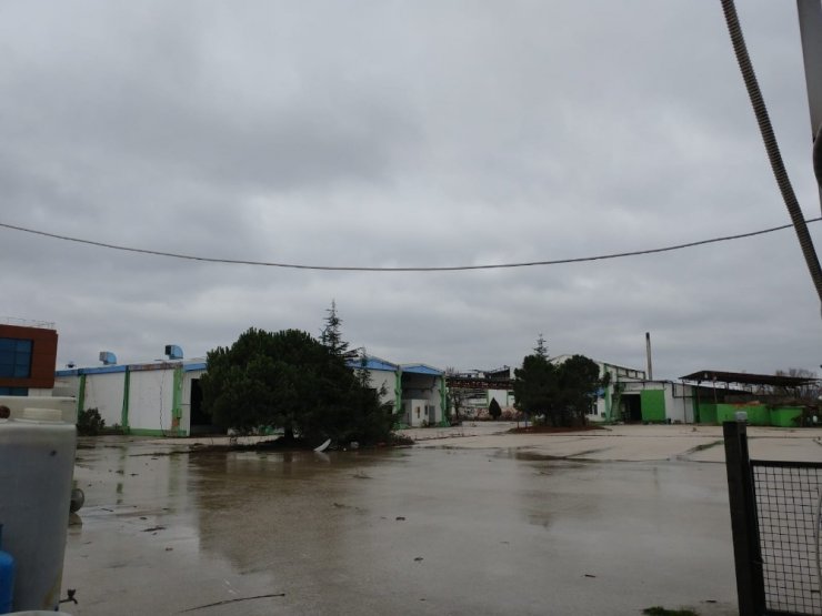 Şeker Piliç markası icradan satışa çıkacak