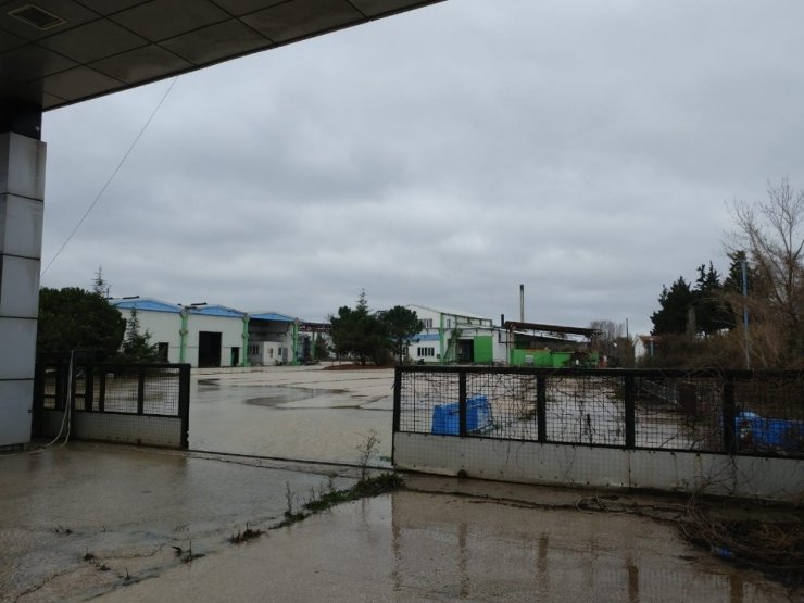 Şeker Piliç markası icradan satışa çıkacak