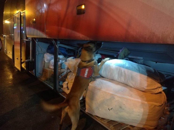 Çorum’da jandarma suçlulara göz açtırmadı