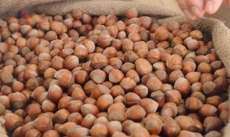Fındık fiyatları 2020 yılında 20 lirayı gördü