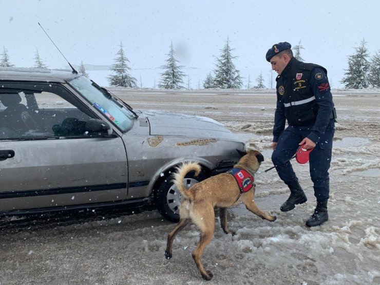 Jandarma trafik ekiplerinden köpekli trafik uygulaması