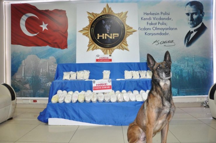 Hatay’da 20 bin adet uyuşturucu hap ve 25 kilo esrar ele geçirildi