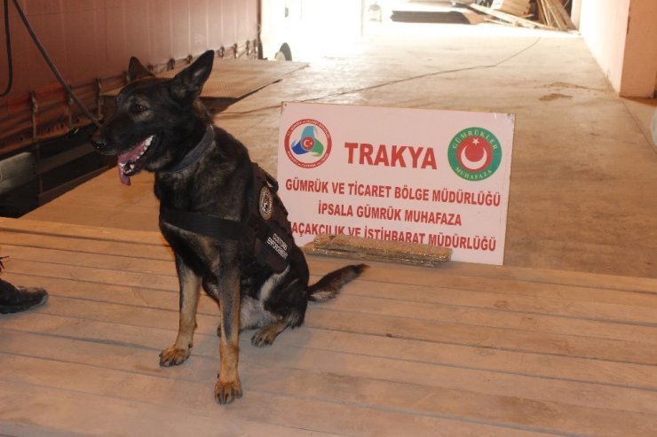 İpsala Gümrük Kapısı’nda 177 kilo esrar ele geçirildi