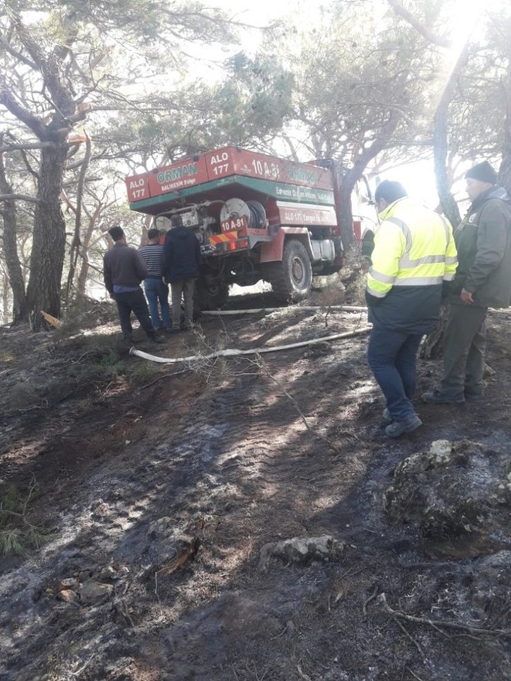Burhaniye’de söndürülmeden bırakılan avcı ateşi ormanı yaktı