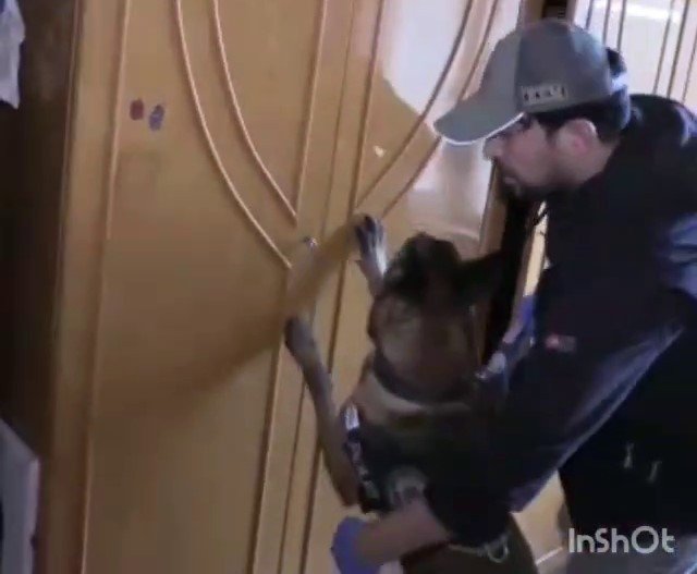 Narkotik arama köpeği Maximilon’dan bingo