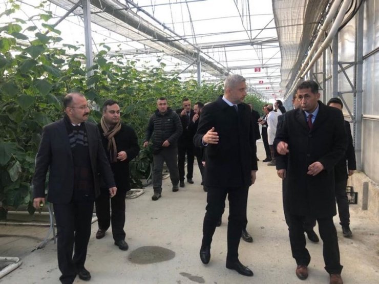 Jeotermale dayalı sera bölgesi projesine ilk adım