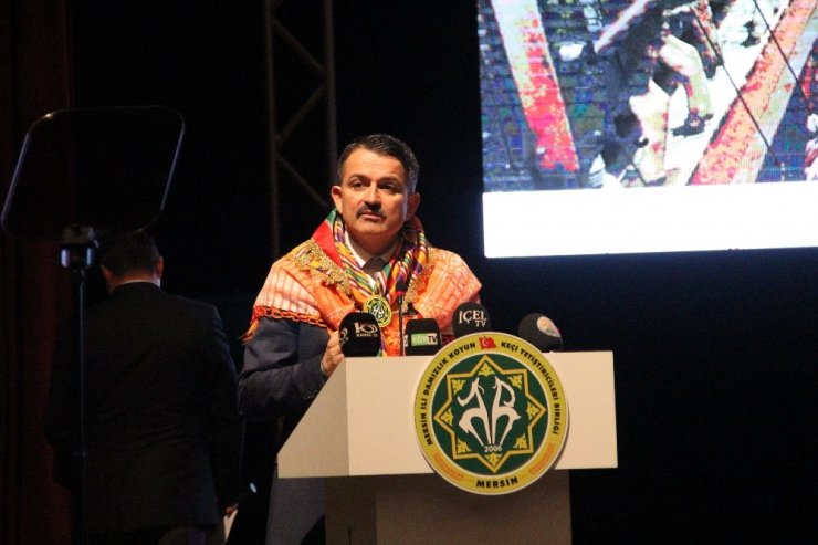 Bakan Pakdemirli’den ‘anaç keçi desteği’ müjdesi