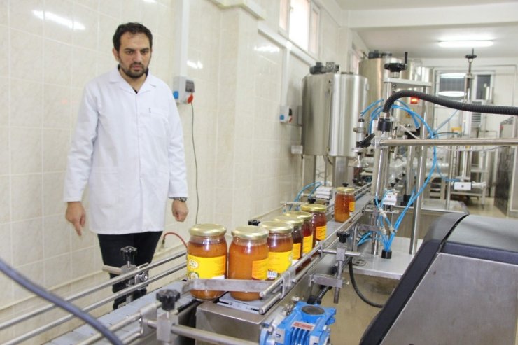 Son yıllarda yaşanan iklim değişikliği bal üretimini olumsuz etkiliyor