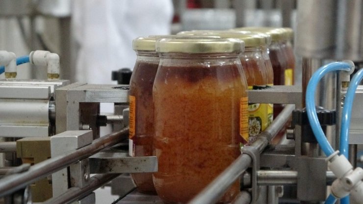 Son yıllarda yaşanan iklim değişikliği bal üretimini olumsuz etkiliyor