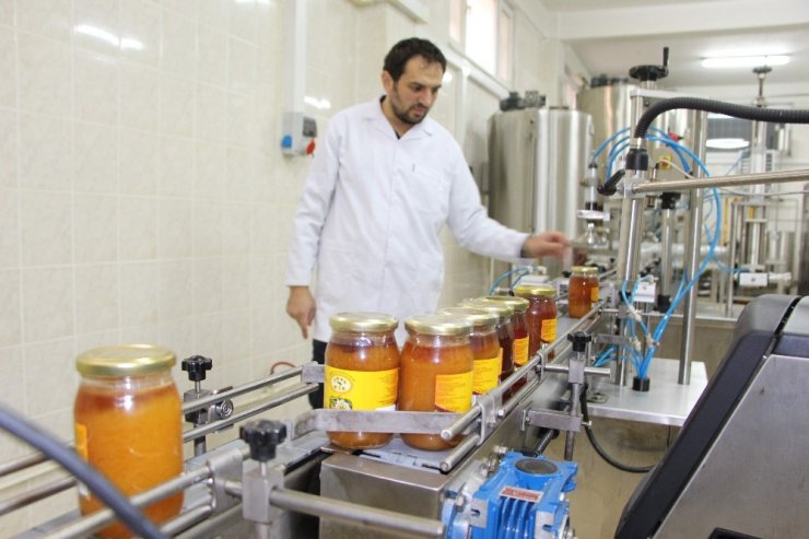 Son yıllarda yaşanan iklim değişikliği bal üretimini olumsuz etkiliyor