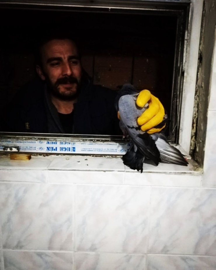 Havalandırma boşluğunda mahsur kalan güvercin itfaiye tarafından kurtarıldı