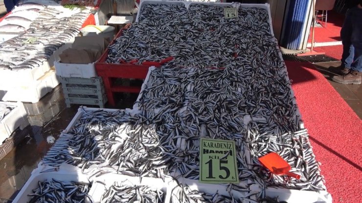 Padişahların vazgeçilmezi, denizlerin kraliçesi lüferin kilosu 120 lira