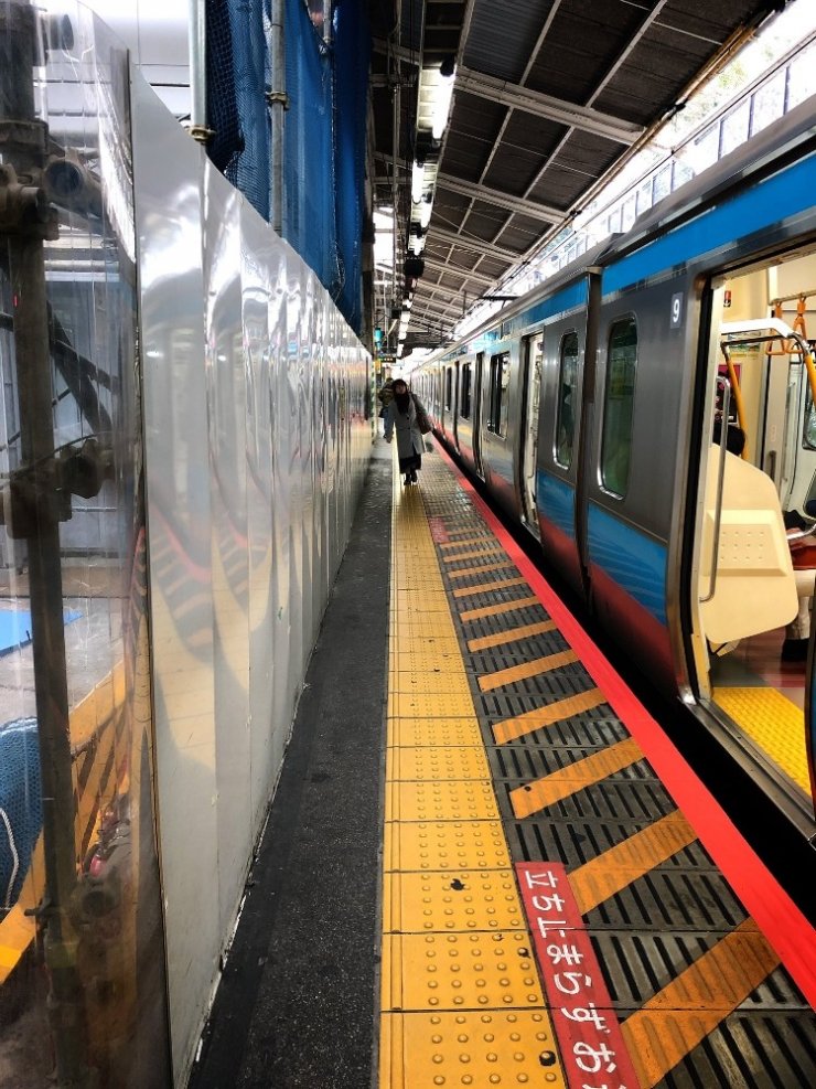 Japonya’da görme engelli yolcu trenin altında kaldı