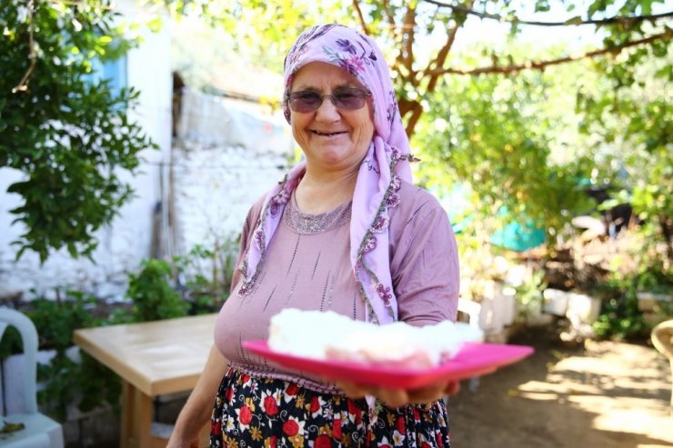 Sakız koyunları dertlere derman oldu