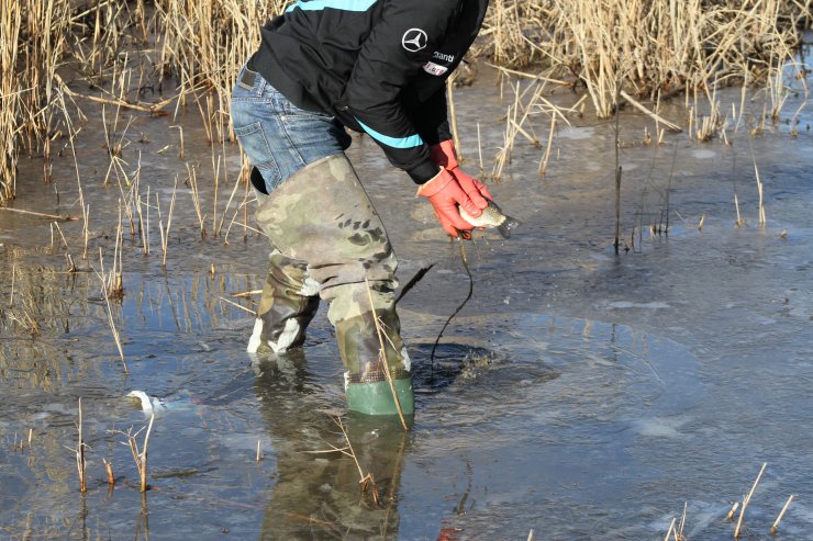 Beyşehir Gölü kıyısında buz tabakasının altındaki balıkları elleriyle yakaladı