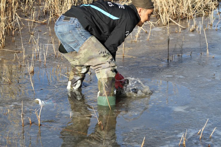 Beyşehir Gölü kıyısında buz tabakasının altındaki balıkları elleriyle yakaladı