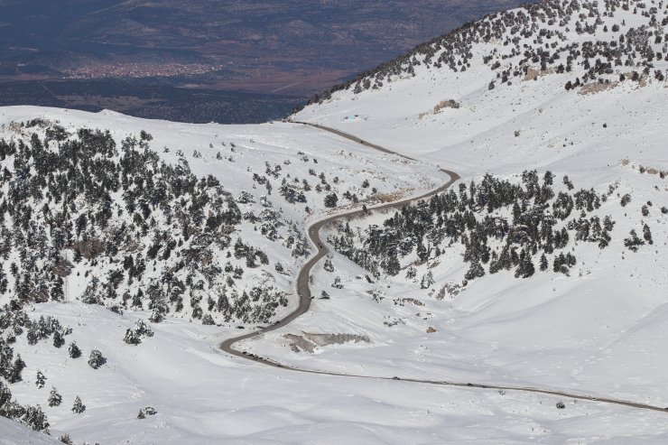 İşlediği cinayetin ardından intihar eden kişi iki kardeşi de öldürmüş