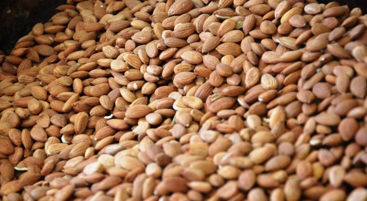 Kayısı çekirdeği, ABD’nin bademine rakip