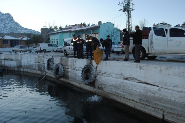 Eğirdir’de kaçak avlanan 700 kilogram kerevit göle bırakıldı