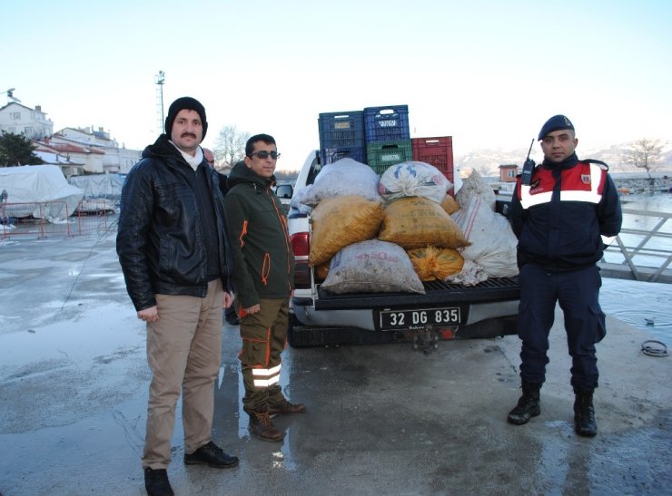 Eğirdir’de kaçak avlanan 700 kilogram kerevit göle bırakıldı