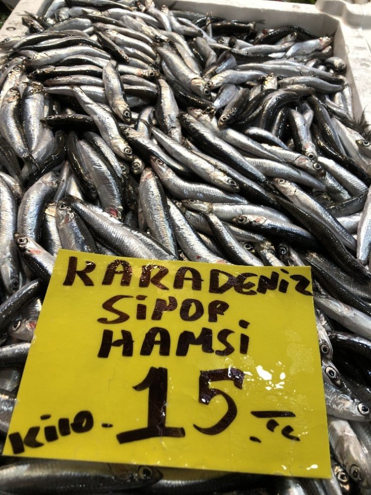 Deniz suyu sıcaklığı düştü; balık tezgahları doldu,taştı