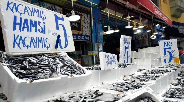 5 liralık hamsi izdihamı, vatandaşlar birbirleriyle yarıştı