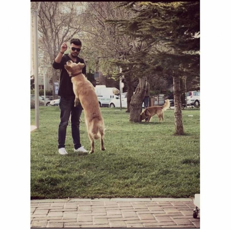 Eski sevgililerin ’paylaşılamayan köpek’ davasında emsal karar verildi