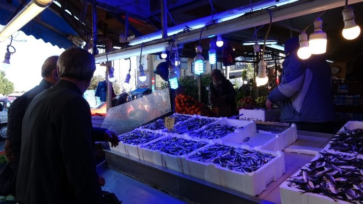 Hamsi tezgahları uzun bir aradan sonra yeninden şenlendirdi