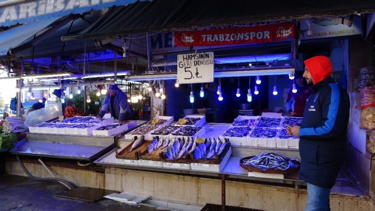 Hamsi tezgahları uzun bir aradan sonra yeninden şenlendirdi